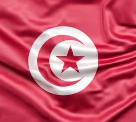 Flag tunisia 1